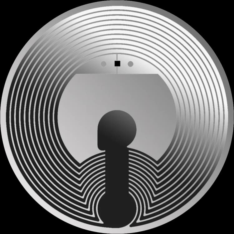 Moon NFT Chip